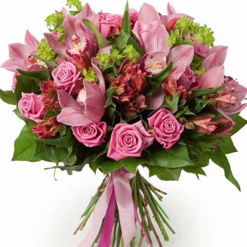 The Integrity of Orchids and Roses