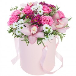 Orchids and Wildflowers in The Box