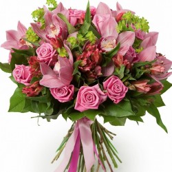 The Integrity of Orchids and Roses