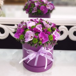 Purple Orchid Cutes 2
