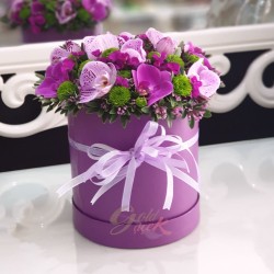 Purple Orchid Cutes