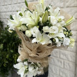 Casablanka Love 1