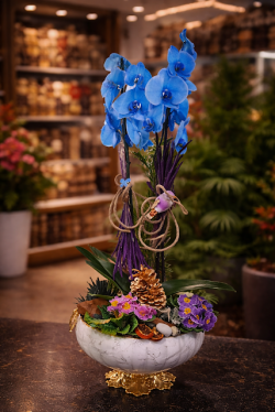 Mavi Orkide Şıklığı