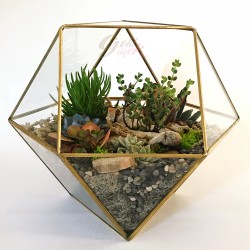Prizma Terrarium Garden