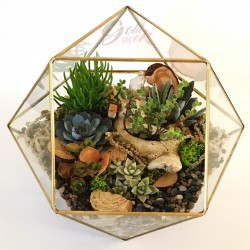 Prizma Terrarium Garden 2