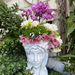 Helen Orchid Arrangement